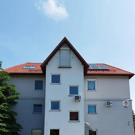 I Na Slonku * Dzierzgon